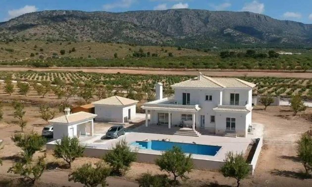 New Build - Detached Villa -
Pinoso - Camino Del Prado