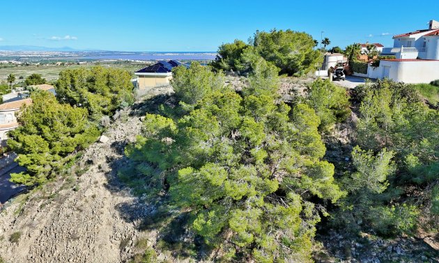 Resale - Plot -
San Miguel de Salinas