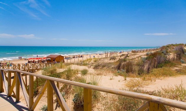 Neue Gebäude - Penthouse -
Guardamar del Segura - Pueblo