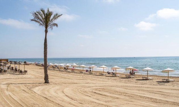 Nybyggnation - Lägenhet -
Guardamar del Segura - Pueblo