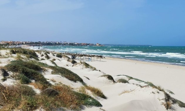 Neue Gebäude - Villa -
Pilar de la Horadada