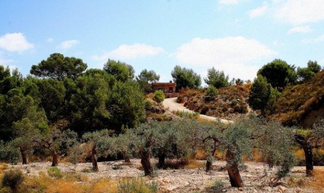 Resale - Villa -
Gea Y Truyols