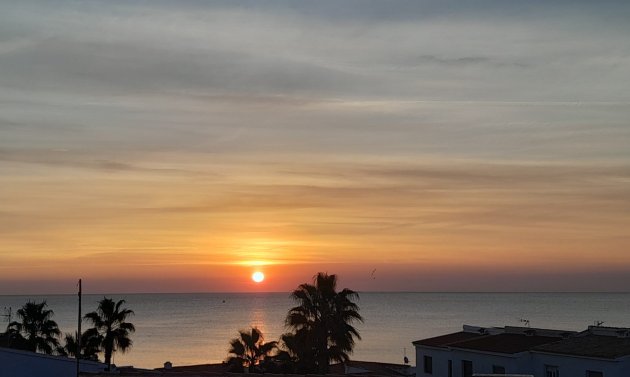 Resale - Apartment -
Playa Flamenca