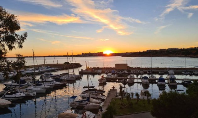 Wiederverkauf - Wohnung -
Campoamor