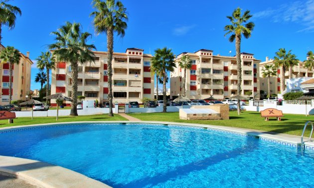 Reventa - Apartamento -
Playa Flamenca