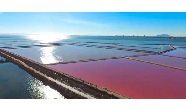 Återförsäljning - Villa -
Torre de la Horadada