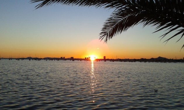 Återförsäljning - Villa -
Torre de la Horadada