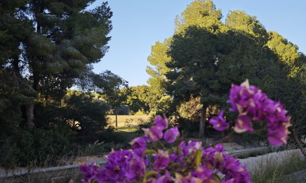 Reventa - Apartamento -
Villamartín - Las Ramblas