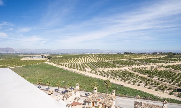 New Build - Townhouse -
Algorfa - La Finca Golf