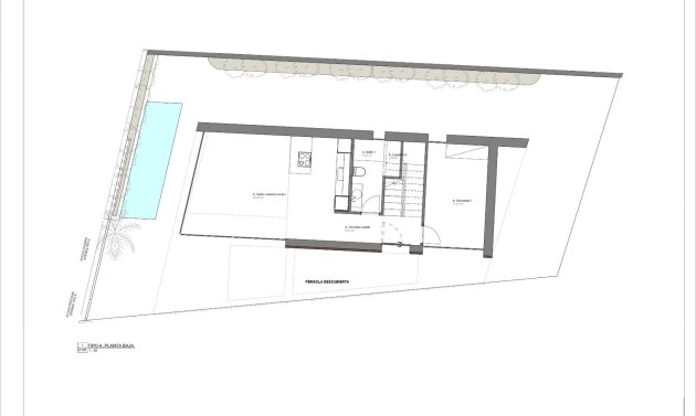 Obra nueva - Villa -
Pilar de la Horadada - Torre De La Horadada