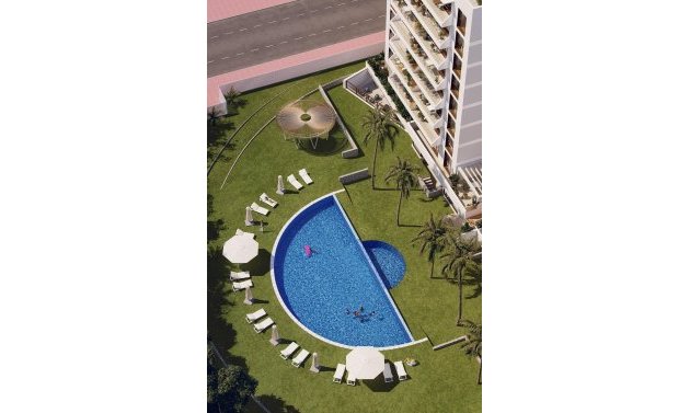 Obra nueva - Apartamento -
Guardamar del Segura - Avda del Puerto