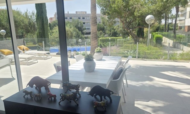 Reventa - Apartamento -
Villamartín - Los Dolses