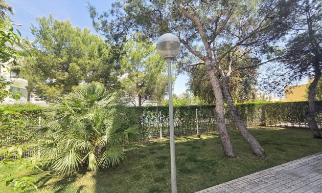Reventa - Apartamento -
Villamartín - Los Dolses