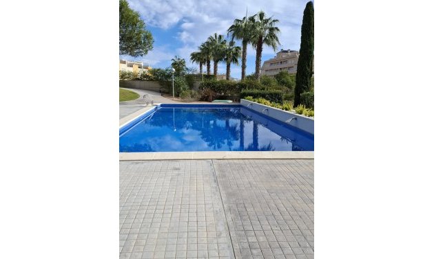 Reventa - Apartamento -
Villamartín - Los Dolses