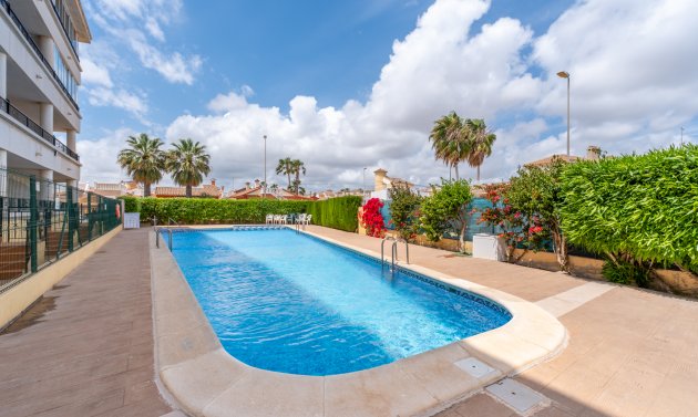 Reventa - Apartamento -
Playa Flamenca - Playa Flamenca Alicante