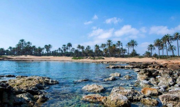 Wiederverkauf - Villa -
Orihuela Costa - La Florida