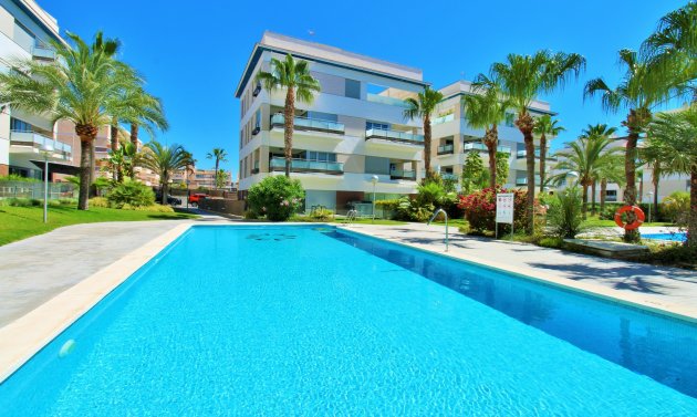 Resale - Apartment -
Villamartín - Los Dolses