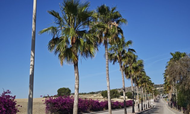 Resale - Villa -
Algorfa - La Finca Golf