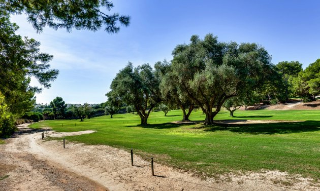 Reventa - Villa -
Villamartín - Villamartin