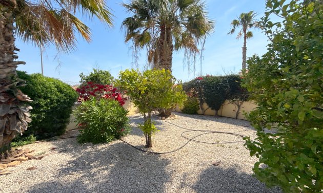 Resale - Villa -
Cabo Roig - Cabo Roig>La Regia