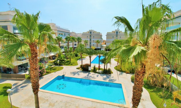 Reventa - Apartamento -
Villamartín - Los Dolses