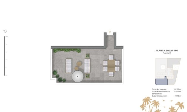 Obra nueva - Apartamento -
Guardamar del Segura - Pueblo