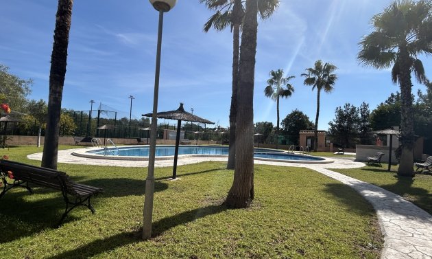 Resale - Apartment -
Los Altos - Dream Hills