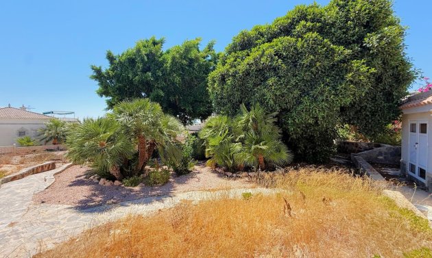 Resale - Villa -
San Miguel de Salinas - Blue Lagoon