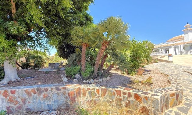 Resale - Villa -
San Miguel de Salinas - Blue Lagoon