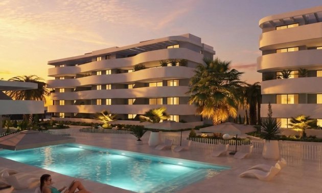 Obra nueva - Apartamento -
Guardamar del Segura - El Raso