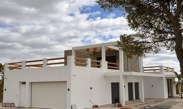 Obra nueva - Villa -
Pinoso - Casas Pastor