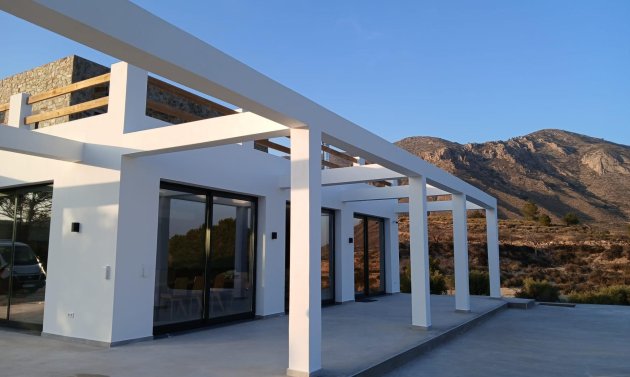 Obra nueva - Villa -
Pinoso - Casas Pastor