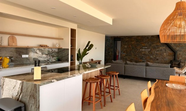 Obra nueva - Villa -
Pinoso - Casas Pastor