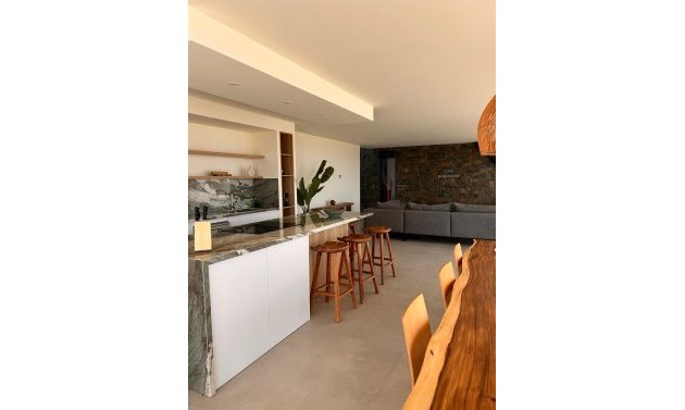 Obra nueva - Villa -
Pinoso - Casas Pastor