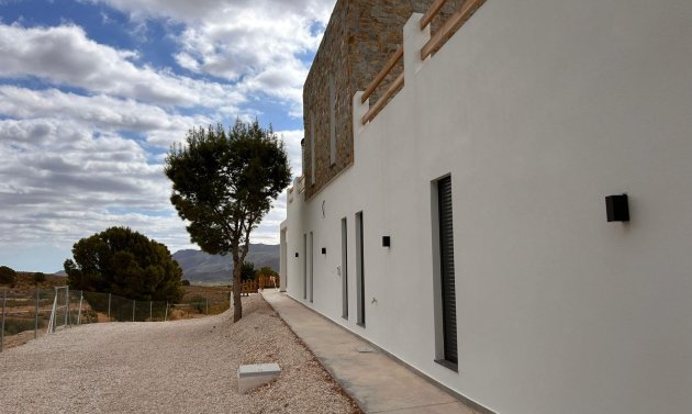 Obra nueva - Villa -
Pinoso - Casas Pastor