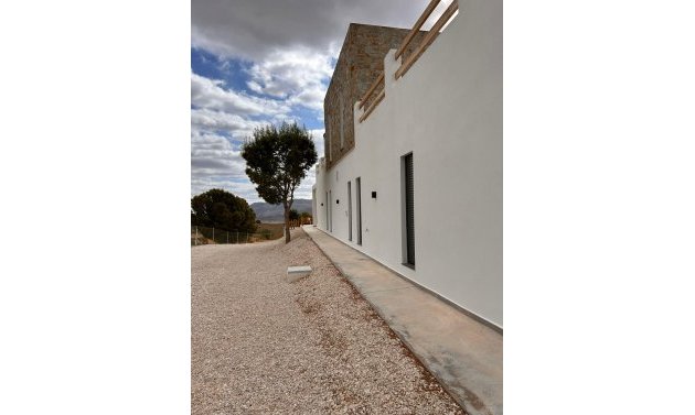 Obra nueva - Villa -
Pinoso - Casas Pastor
