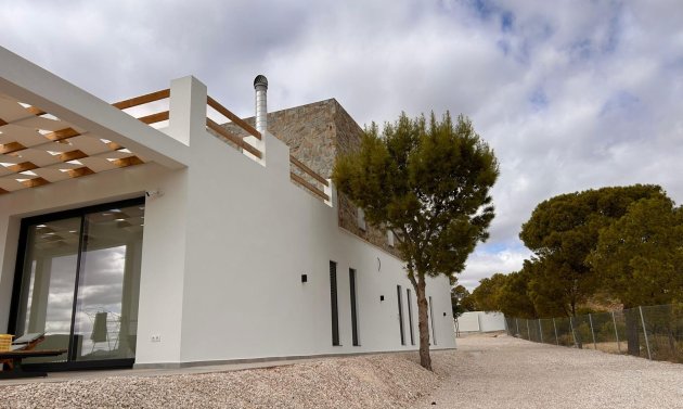 Obra nueva - Villa -
Pinoso - Casas Pastor