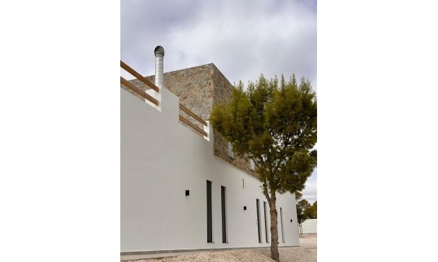 Obra nueva - Villa -
Pinoso - Casas Pastor