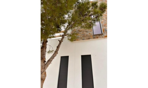Obra nueva - Villa -
Pinoso - Casas Pastor