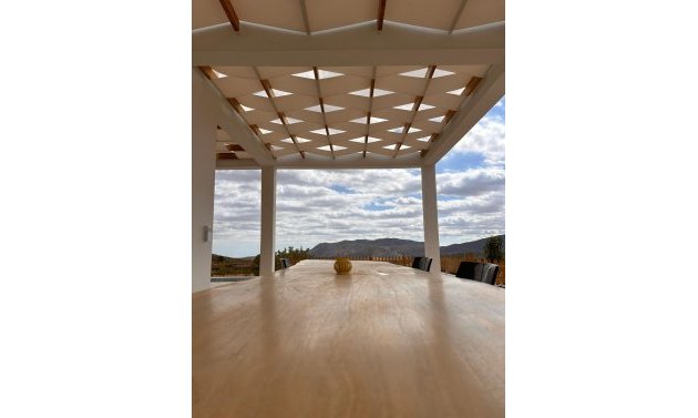 Obra nueva - Villa -
Pinoso - Casas Pastor
