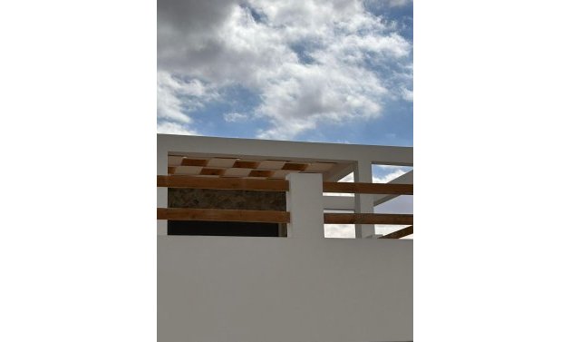 Obra nueva - Villa -
Pinoso - Casas Pastor