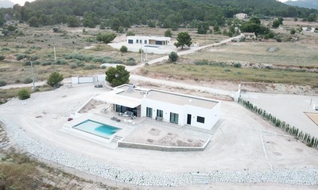Obra nueva - Villa -
Pinoso - Casas Pastor