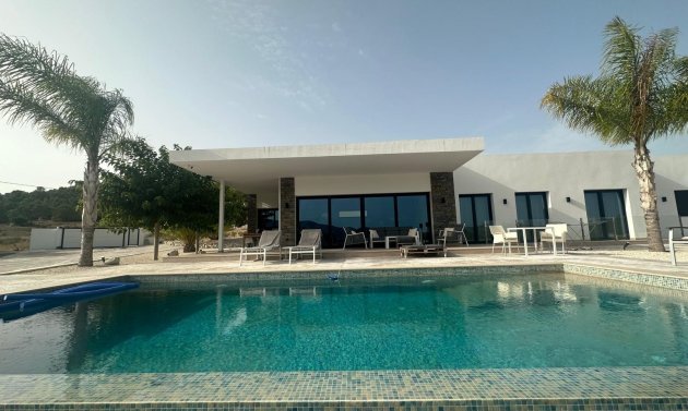 Obra nueva - Villa -
Pinoso - Casas Pastor