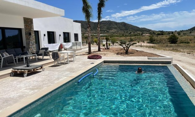 Obra nueva - Villa -
Pinoso - Casas Pastor