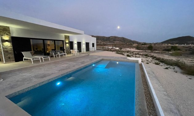 Obra nueva - Villa -
Pinoso - Casas Pastor