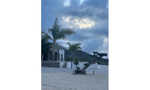 Obra nueva - Villa -
Pinoso - Casas Pastor