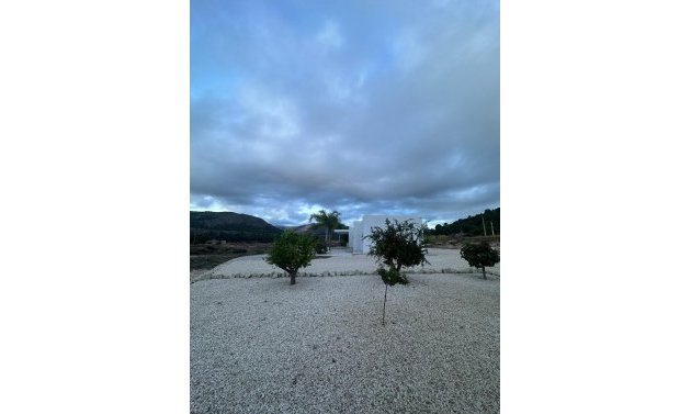 Obra nueva - Villa -
Pinoso - Casas Pastor