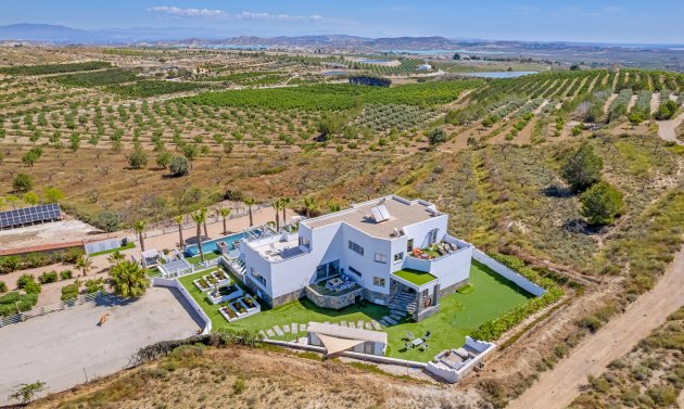 Reventa - Villa -
Torremendo