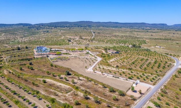 Reventa - Villa -
Torremendo