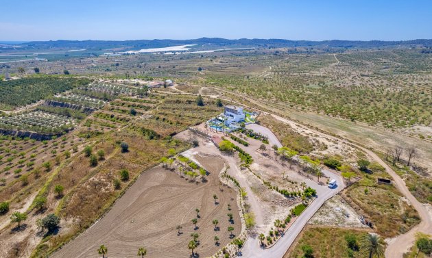 Reventa - Villa -
Torremendo